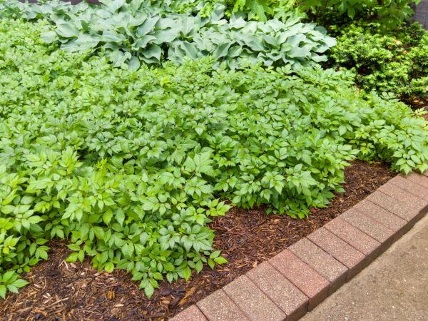 Cost of Brick Hardscaping in Salem